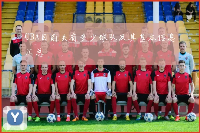 CBA目前共有多少球队及其基本信息汇总