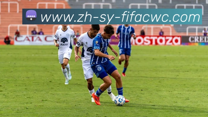 App Interface Preview