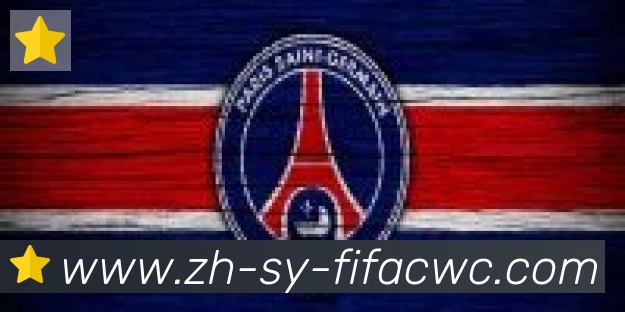 世界杯在线观看合作伙伴