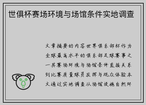 世俱杯赛场环境与场馆条件实地调查