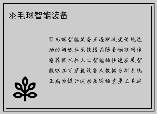 羽毛球智能装备